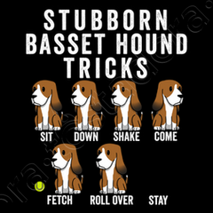 Basset store hound stubborn