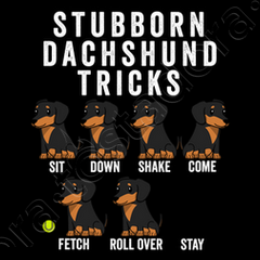 stubborn dachshund tricks