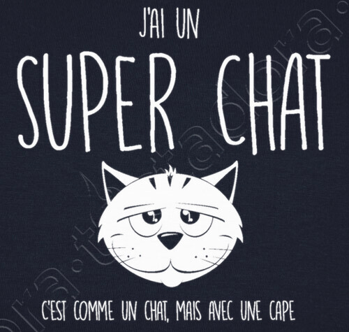 super chat https://www.tostadora.fr/bibine/super_chat/1609715