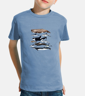 t-shirt boy and girl whales, sperm whales and dolphins