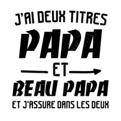 Tee-shirt papa et beau-papa, idée cadeau