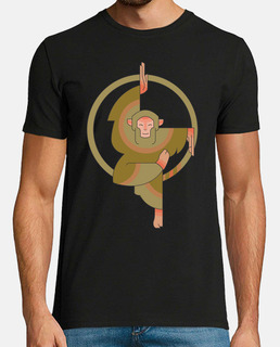 taichi monkey / martial art / reiki