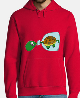 tartaruga in bot lei