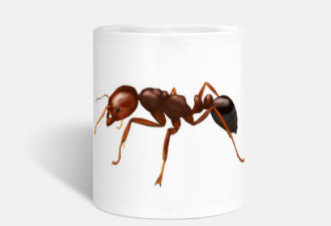 tasse de fourmi