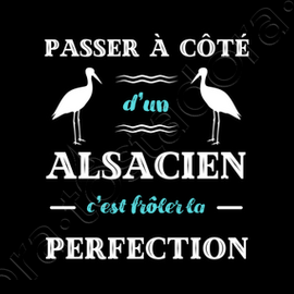 Tee Shirt Alsacien Perfection Humour Alsace Tostadora Tee Shirt Alsacien Perfection Humour Alsace Tostadora