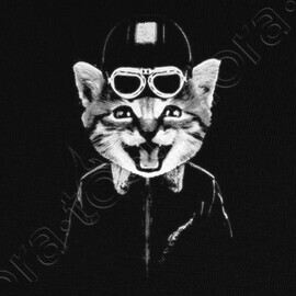 Tee Shirt Chat Motard Tostadora Tee Shirt Chat Motard Tostadora