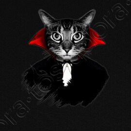 Tee Shirt Chat Vampire Tostadora Tee Shirt Chat Vampire Tostadora