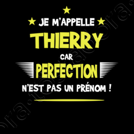 Tee Shirt Thierry Cadeau Humour Et Drole Tostadora