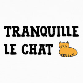 Tee Shirt Tranquille Le Chat Cool Humour Tostadora