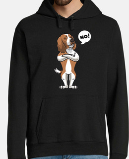 testardo gallese springer spaniel
