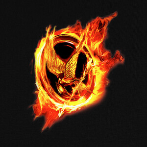 Camisetas The Hunger Games - Los Juegos del Hambre