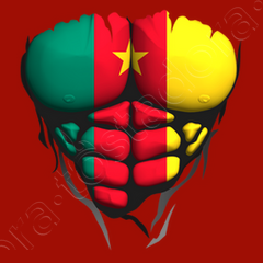 Sweat torse corps muscle drapeau cameroun