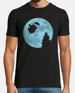 Totoro volant sous la lune