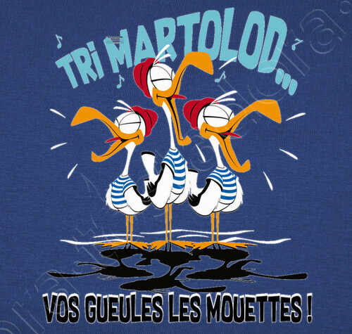 Vos gueules les mouettes bretagne https://www.tostadora.fr/bibine/tri_martolod/2042990