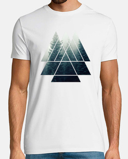 triangles de géométrie sacrée - forêt b