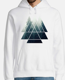 triangoli di geometria sacra - foresta 