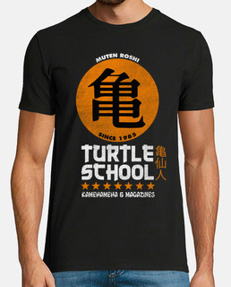 Turtle school