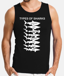 types de requins biologie marine mer