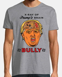 vaisseau trump - bully