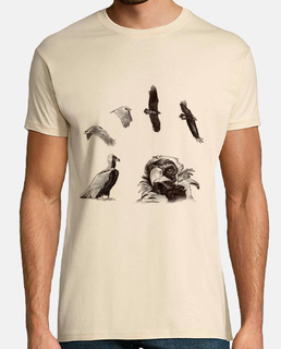 vautour noir 2