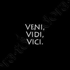 Veni Vidi Vici Banner