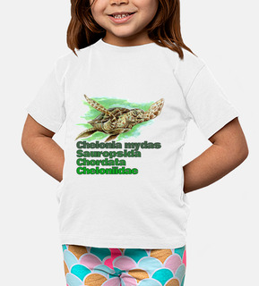 verde sea turtle