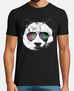 vieux panda de l'école