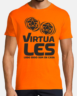 VirtuaLES 2020 logo