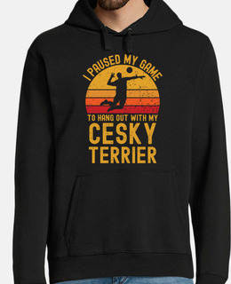 Volleyball and Cesky Terrier