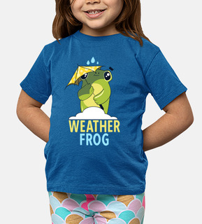 Weather Frog Climate Cloud Meteorologis