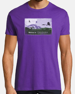 Welcome to Pandora C