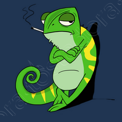 Camaloon camisetas top