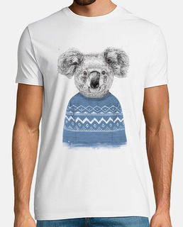 Winter koala