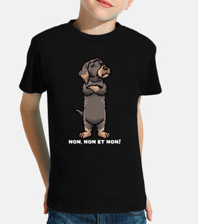 wirehaired dachshund dog