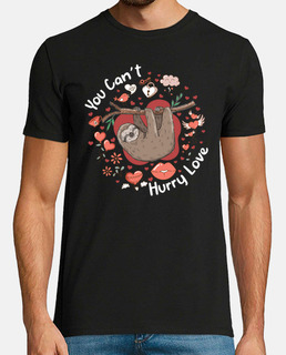 You Cant Hurry Love Sloth Valentines
