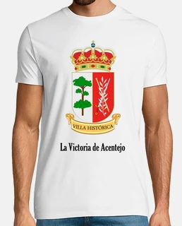 829 - La Victoria de Acentejo