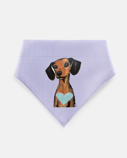 Mascotas adorable dachshund dachshund with heart