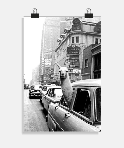 Poster affiche de lama à new york