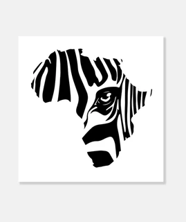África cebra