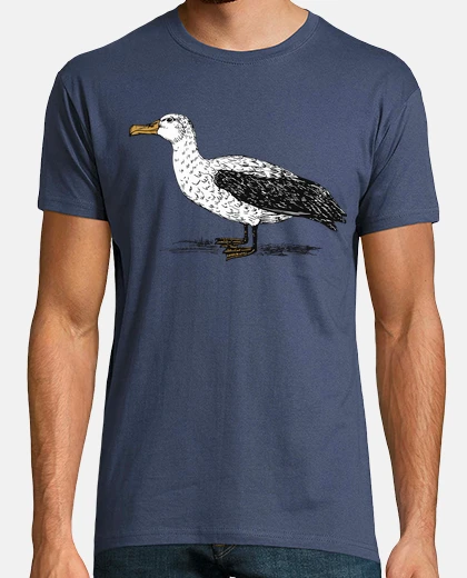 Tee-shirt albatros / diomédéidae / alcatraz / pel