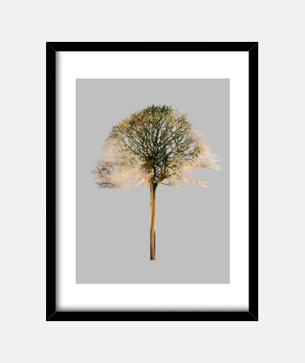 Quadro albero x