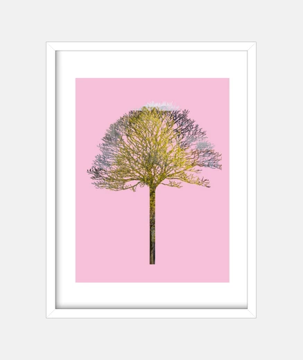 Quadro albero xi
