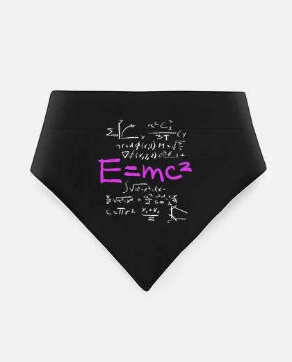 Mascotas Albert Einstein Théorie de la relativité