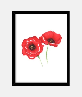 Amapolas