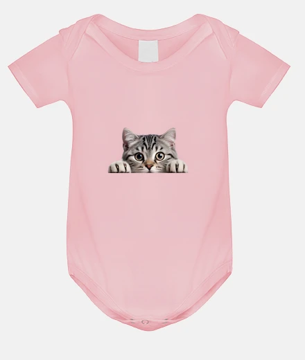 Kids american shorthair