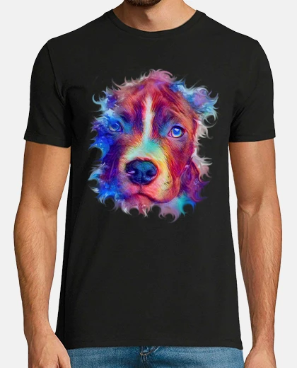 Camiseta AMERICAN STANFORD