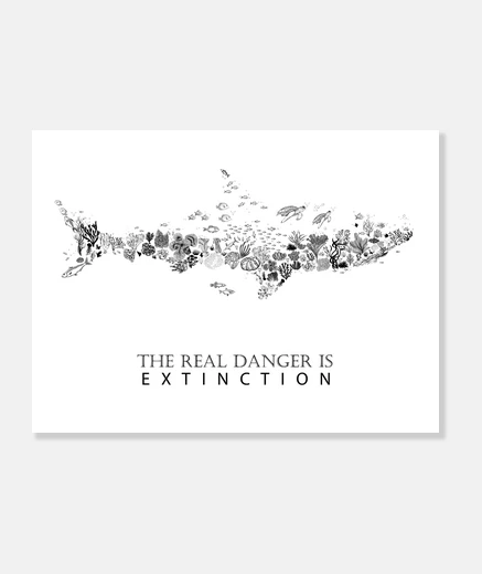 Tableau ami requin