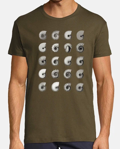 Camiseta Ammonites