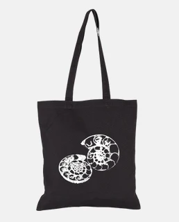ammonites