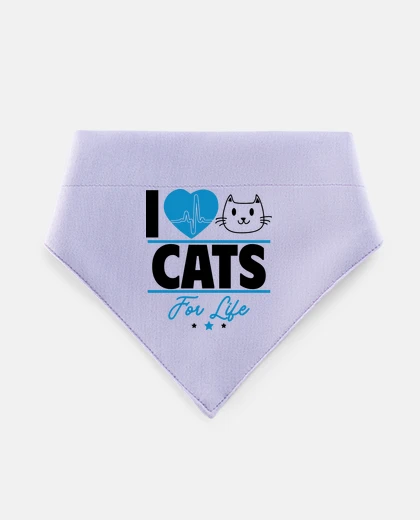 Mascotas Amo i gatti per tutta la vita